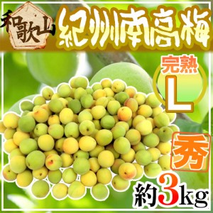 紀州・和歌山産 ”南高梅 完熟” 秀品 L 約3kg【予約 6月以降】 送料無料