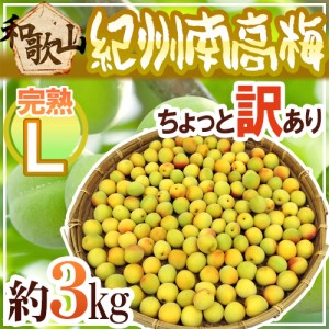 紀州・和歌山産 ”南高梅 完熟” L 約3kg ちょっと訳あり【予約 6月以降】 送料無料