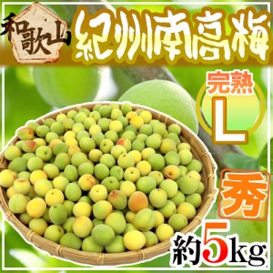 紀州・和歌山産 ”南高梅 完熟” 秀品 L 約5kg【予約 6月以降】 送料無料