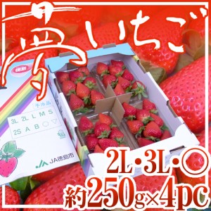 【お届け日指定可能】徳島県勝占産 ”夢いちご” 大粒 2Lor3Lor大粒○ 約250g×4pc 送料無料