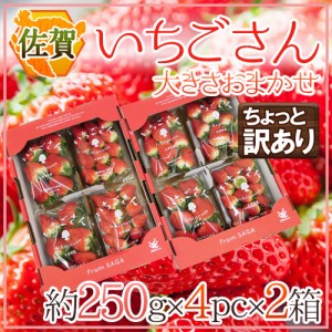 佐賀 ”いちごさん” ちょっと訳あり 約250g×4パック×《2箱》 大きさおまかせ【予約 12月以降】 送料無料