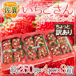 佐賀 ”いちごさん” ちょっと訳あり 約250g×4パック×《3箱》 大きさおまかせ【予約 12月以降】 送料無料