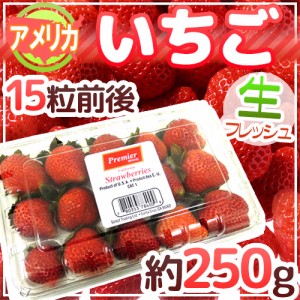 アメリカ産 ”いちご” 15粒前後 約250g【予約 6月下旬以降】