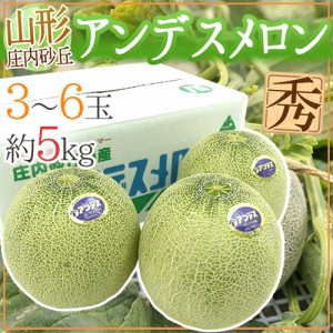 山形県庄内地方 ”アンデスメロン” 秀品 3〜6玉 約5kg【予約 7月以降】 送料無料