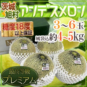 JA茨城旭村 ”アンデスメロン” 最高等級プレミアム 3〜6玉 風袋込約4〜5kg【予約 5月末以降】 送料無料