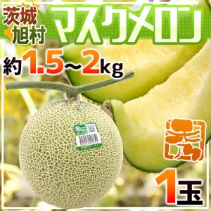 ”茨城県 旭村 温室マスクメロン” 秀品 超大玉1玉 約1.5〜2kg【予約 7月末以降】 送料無料