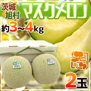 茨城県 旭村 ”温室マスクメロン” 秀品 超大玉2玉 約3〜4kg【予約 7月末以降】 送料無料