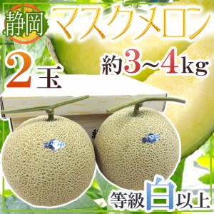 静岡県 ”マスクメロン” 等級白以上 大玉2玉 約3〜4kg【予約 6月以降】 送料無料