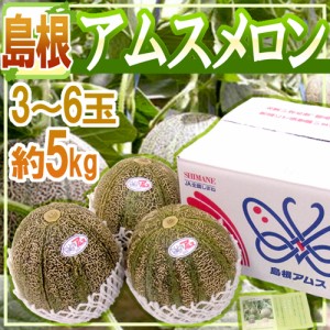 島根産 ”アムスメロン” 秀品 大玉 3〜6玉 約5kg【予約 6月以降】 送料無料