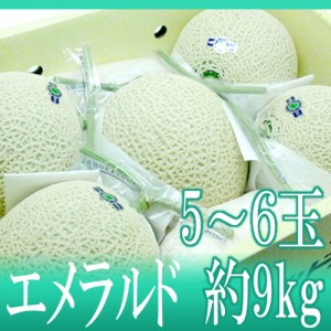 高知県夜須産 ”エメラルドメロン” 大玉 5〜6玉 約9kg以上【予約 3月中旬以降】 送料無料