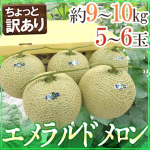 高知県夜須産 ”エメラルドメロン” ちょっと訳あり 大玉 5〜6玉入り 約9〜10kg【予約 3月中旬以降】 送料無料