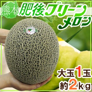 熊本産 ”肥後グリーン” 秀・優品 特大1玉 約2kg【予約 5月末以降】