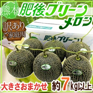 熊本産 ”肥後グリーン” 訳あり 約7kg以上 大きさおまかせ【予約 5月末以降】 送料無料