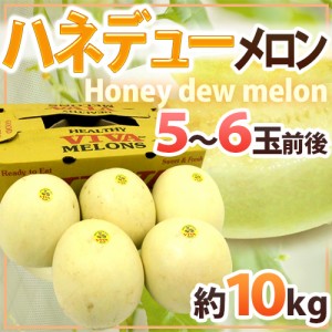 ”ハネデューメロン” 5〜6玉前後 約10kg メキシコ・アメリカ産 他【予約 入荷次第発送】 送料無料