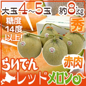 北海道 赤肉メロン ”らいでんレッドメロン” 4〜5玉 約8kg 産地箱【予約 7月中下旬以降】