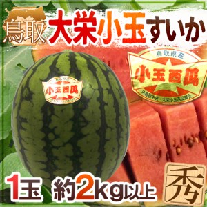 鳥取県 ”大栄小玉スイカ 姫甘泉” 1玉 約2kg【予約 6月以降】