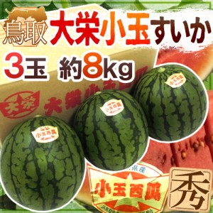 鳥取県 ”大栄小玉スイカ 姫甘泉” 3〜4玉 約8kg【予約 6月以降】 送料無料