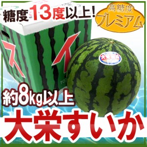 鳥取県 ”高糖度プレミアム 大栄すいか” 約8kg以上 大玉3Lサイズ 大栄西瓜【予約 6月中旬以降】 送料無料