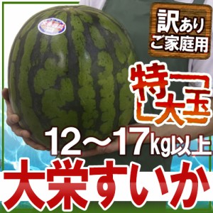 鳥取県 ”ジャンボ大栄すいか” 訳あり 特大6L 約12kg以上 大栄西瓜【予約 6月以降】 送料無料