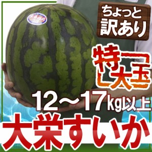 鳥取県 ”ジャンボ大栄すいか” ちょっと訳あり 特大6L 12kg以上 大栄西瓜【予約 6月以降】 送料無料