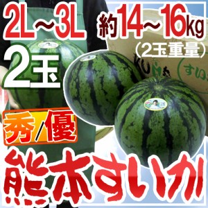 熊本県産 ”熊本すいか” 秀・優品 2L〜3Lサイズ 2玉 約14kg〜18kg（1玉重量約7〜9kg）【予約 5月中旬以降】 送料無料