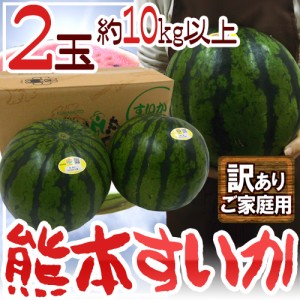 熊本県 ”熊本すいか” 訳あり 約5kg以上×2玉（合計約10kg以上）【予約 5月中旬以降】 送料無料