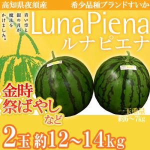 高知県夜須町 ”ルナピエナ” 2玉 約12〜14kg 化粧箱入り 金時、祭ばやしなど【予約 4月末以降】 送料無料