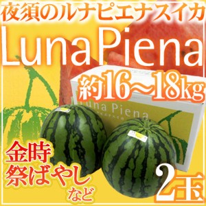 高知県夜須町 ”ルナピエナ” 秀品 超大玉 2玉 約16kg〜18kg（1玉重量約8〜9kg）化粧箱 金時、祭ばやしなど【予約 4月末以降】 送料無料