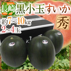 長崎県産 ”黒小玉スイカ” 秀品 2〜4玉 約7〜10kg【予約 7月以降】 送料無料