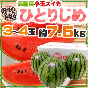 ”小玉すいか ひとりじめ” 2L〜3L 3〜4玉 約7.5kg 産地厳選【予約 5月下旬以降】 送料無料