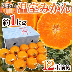 和歌山県産 ”温室 有田みかん” 12玉前後 約1kg 化粧箱【予約 5月末以降】 送料無料