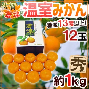 佐賀産 JAからつ ”唐津 温室みかん” 12玉 約1kg 糖度13度以上！ 化粧箱 ハウスみかん【予約 6月以降】 送料無料