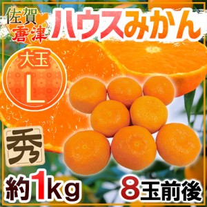 佐賀産 JAからつ ”ハウスみかん” 大玉Lサイズ 8玉前後 約1kg バラ詰め 温室みかん【予約 6月以降】 送料無料