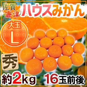 佐賀産 JAからつ ”ハウスみかん” 大玉Lサイズ 16玉前後 約2kg バラ詰め 温室みかん【予約 6月以降】 送料無料