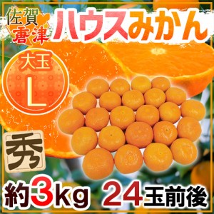 佐賀産 JAからつ ”ハウスみかん” 大玉Lサイズ 24玉前後 約3kg バラ詰め 温室みかん【予約 6月以降】 送料無料