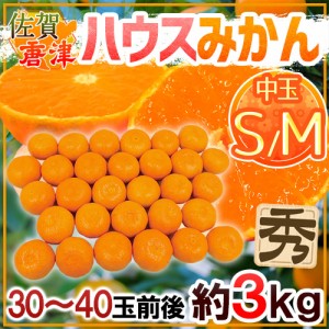 佐賀産 JAからつ ”ハウスみかん” S/Mサイズ 30〜40玉前後 約3kg バラ詰め 温室みかん【予約 6月以降】 送料無料