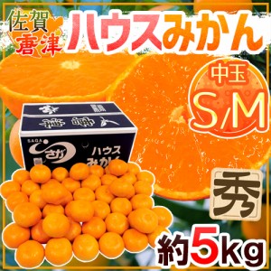 佐賀産 JAからつ ”ハウスみかん” S/Mサイズ 約5kg 温室みかん【予約 6月以降】 送料無料