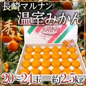 長崎産 ○南（マルナン） ”温室みかん” 秀品 20〜24玉 約2.5kg【予約 6月中旬以降】 送料無料