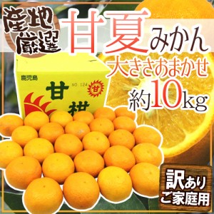 ”甘夏みかん” 訳あり Lサイズ以上 約10kg 和歌山・愛媛 など産地厳選【予約 3月下旬以降】 送料無料