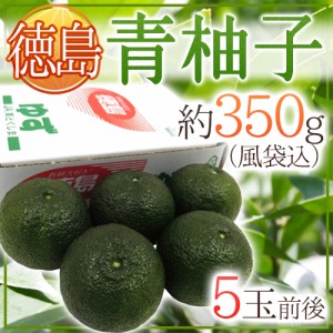 徳島産 ”青柚子” 秀品 5〜6玉前後 約350g 青ゆず【予約 4月下旬以降】