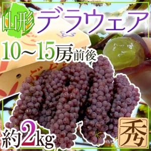 山形産 ”デラウェア” 秀品 10〜15房前後 約2kg【予約 7月下旬以降】 送料無料