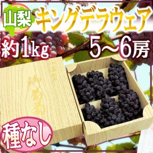 山梨産 種なしぶどう ”キングデラウェア” 5〜6房 約1kg 化粧箱【予約 5月下旬以降】 送料無料