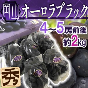 ぶどう 岡山産 ”オーロラブラック” 秀品 4〜5房前後 約2kg 化粧箱【予約 7月下旬以降】 送料無料