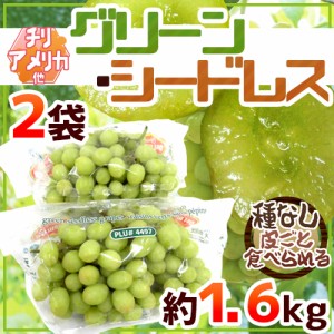 種なしぶどう ”グリーンシードレス” 2袋 約1.6kg ちょっと訳あり チリ・アメリカ産他 青ぶどう【予約 入荷次第発送】 送料無料