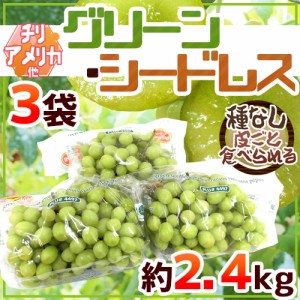 種なしぶどう ”グリーンシードレス” 3袋 約2.4kg ちょっと訳あり チリ・アメリカ産他 青ぶどう【予約 入荷次第発送】 送料無料