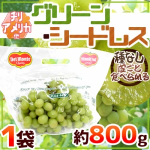 種なしぶどう ”グリーンシードレス” 1袋 約800g ちょっと訳あり チリ・アメリカ産他 青ぶどう【予約 入荷次第発送】 送料無料