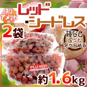 種なしぶどう ”レッドシードレス” 2袋 約1.6kg ちょっと訳あり チリ・アメリカ産他 赤ぶどう【予約 入荷次第発送】 送料無料