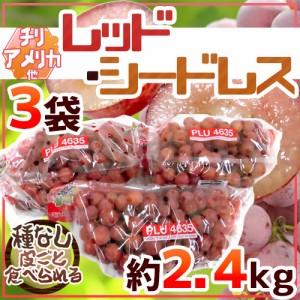 種なしぶどう ”レッドシードレス” 3袋 約2.4kg ちょっと訳あり チリ・アメリカ産他 赤ぶどう【予約 入荷次第発送】 送料無料