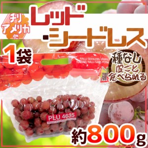 種なしぶどう ”レッドシードレス” 1袋 約800g ちょっと訳あり チリ・アメリカ産他 赤ぶどう【予約 入荷次第発送】 送料無料