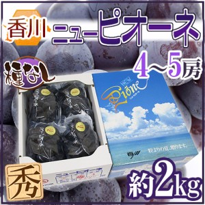 香川産 種なしぶどう ”ニューピオーネ” 秀品 4〜5房 約2kg 化粧箱 種なしピオーネ【予約 7月中旬以降】 送料無料